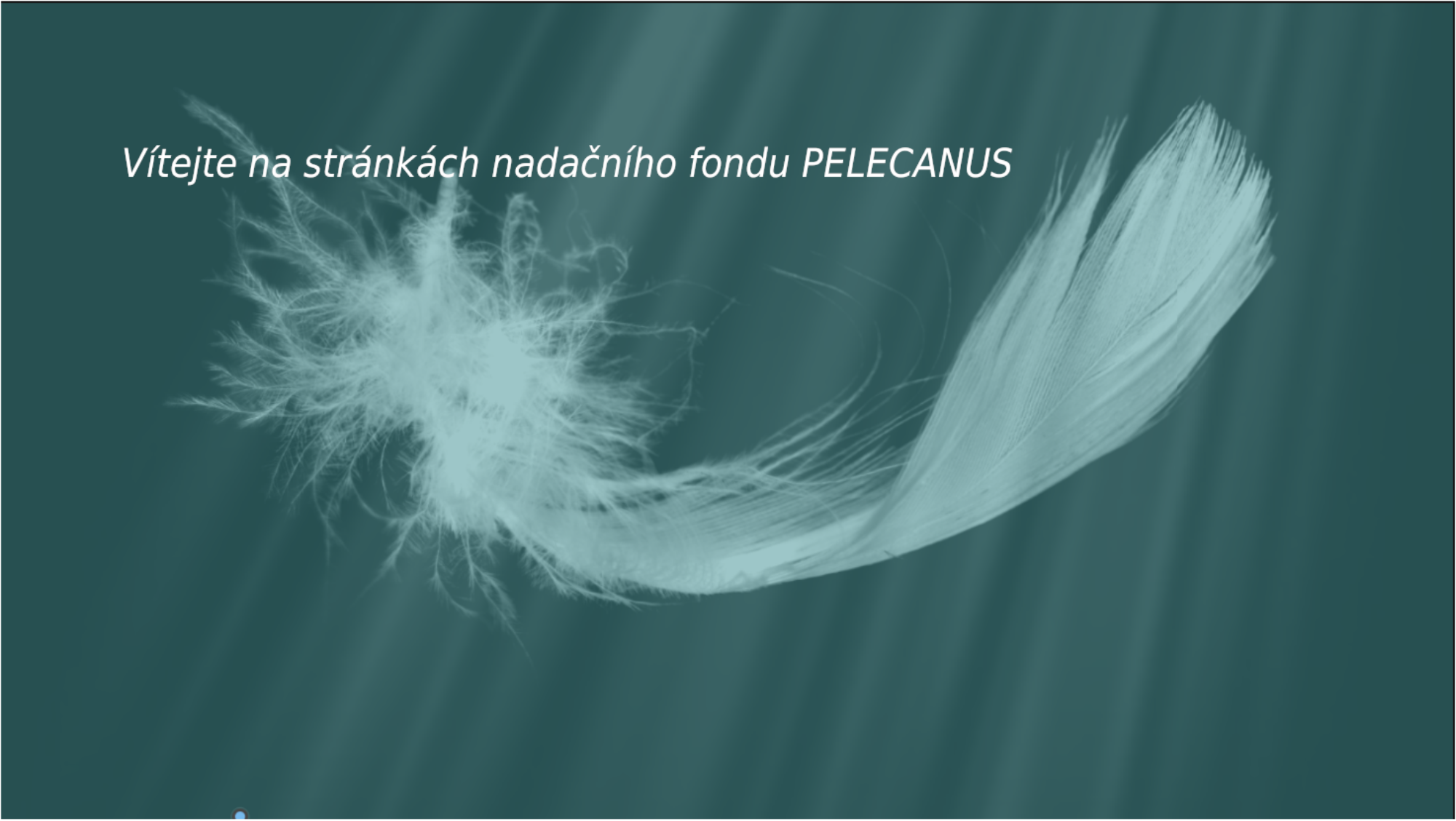 www.pelecanus.cz